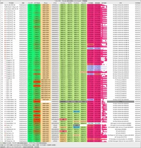 SSRDOG机场评测｜稳定性、速度、价格全方位体验